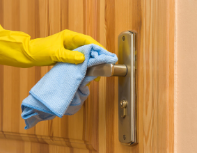 Door Cleaning