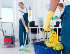 Domestic Cleaners