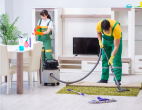 Domestic Cleaning