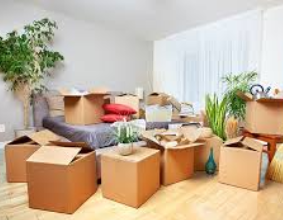 Moving-Related Cleaning