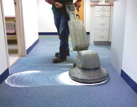 Carpet Shampoo